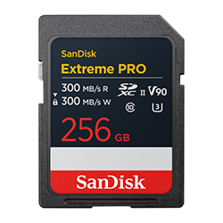 ScanDisk Pro